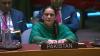 Photo: Saima Sleem at UN assembly